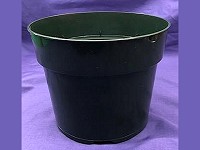 6½" Round Green Pot (AZ)